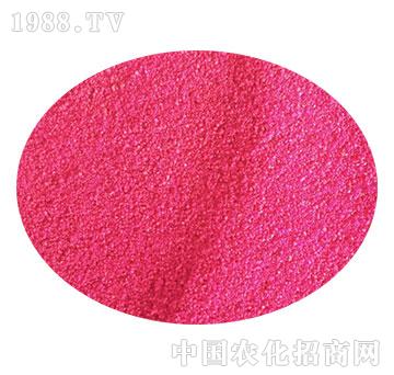 ����(j��)�o���w����-�����r(n��ng)ˎ