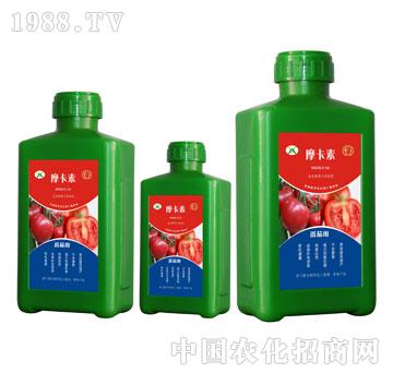 ���ь��ð���������Һ�ķ�-Ħ����-��о���H