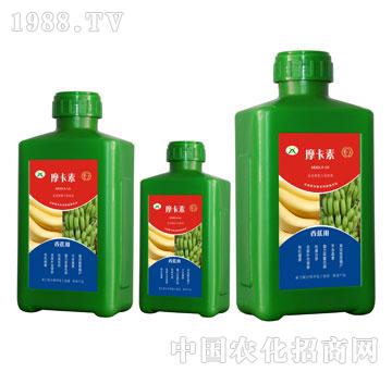 �㽶���ð���������Һ�ķ�-Ħ����-��о���H