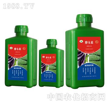 ���(l��i)�߲ˌ�(zhu��n)�ð���������Һ�ķ�-Ħ����-��(qi��ng)о��(gu��)�H