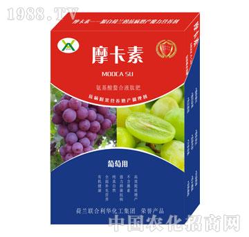 ���ь��ð���������Һ�ķ�-Ħ����-��(qi��ng)о���H