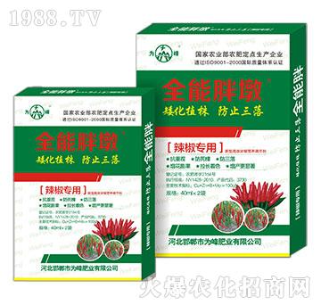 ȫ���ֶ�-��������-��