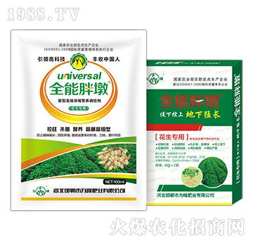 ��������-ȫ���ֶ�-��