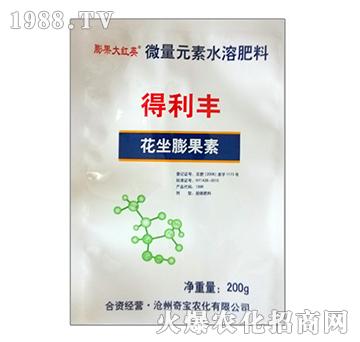 �����S-���������-�挚�r��