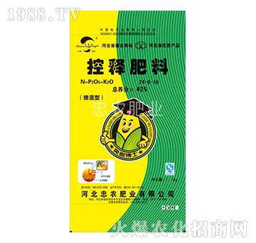 ����ጷ�24-8-10