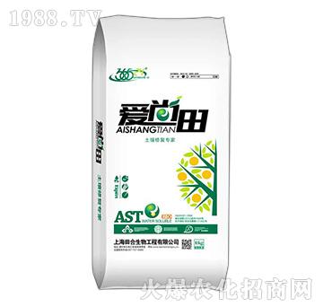 �����ޏ�(f��)����-������-�������