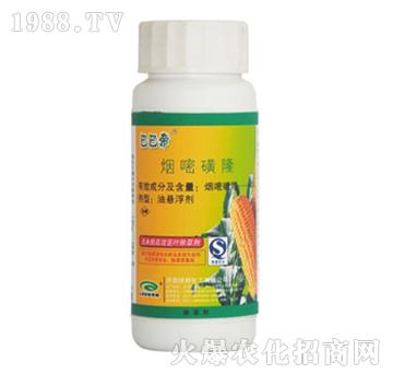 ���׻�¡-�Ͱ͵�-�G��