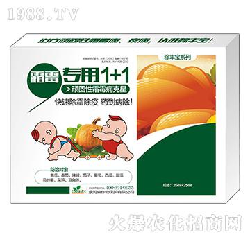 ˪ù����1+1-���S��-��ķɭ