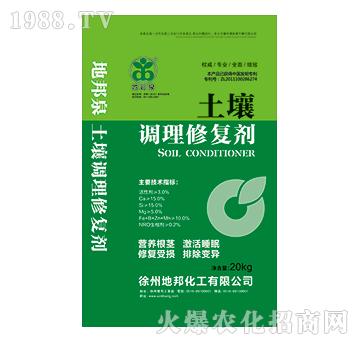 �����{(di��o)���ޏ�(f��)��-�ذ�Ȫ