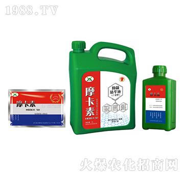 �V�V���־����AҺ���M�ϣ�-Ħ����-��о���H