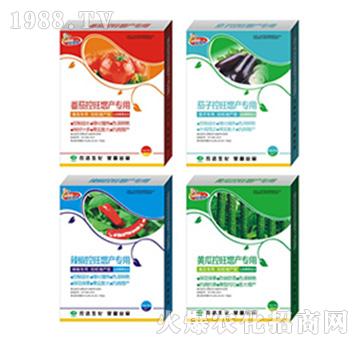 ���������ӡ��������S��