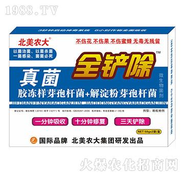 ���-ȫ�P��-�����r(n��ng)��