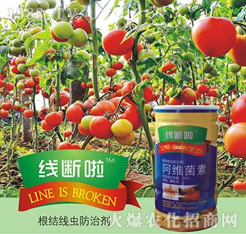 0.5%���S����-������-꿾�