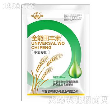 С������ȫ�����S��-���