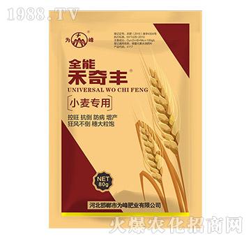 С����(zhu��n)��ȫ�ܺ����S-���