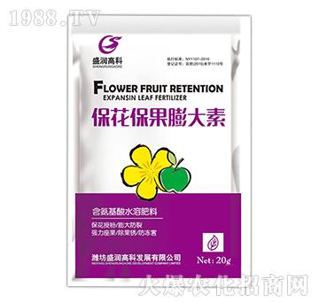 �������������-ʢ���߿�