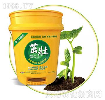 �ѣ�΢������ʣ�-��