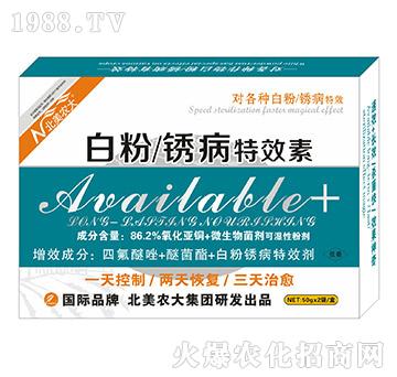 �׷��P����Ч��-�����r(n��ng)��