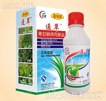 41%�ݸ�좮������}-ͨ��-ͬ�S