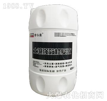 ������Ч�ޏ�Һ-Ħ����-��о���H