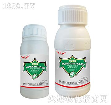 �װ������S���ر������}-����-���`�S