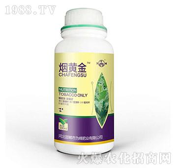 ���S��-���ʘI(y��)