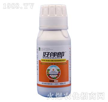 �ð���-�̩