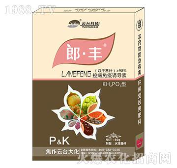 �ɡ��S-���_��