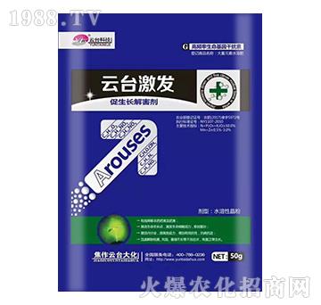 50g���_���l(f��)-���_��