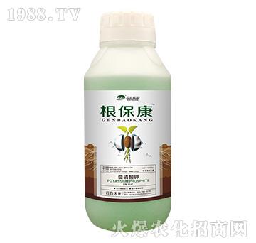 1000g������-���_��