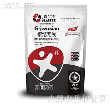 根結無線-喜蘭特