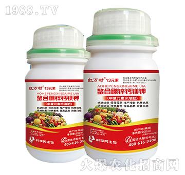 �������\�}�V�-13Ԫ��-���˹����r��