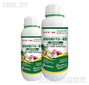 �[�����S�~�ɼ�һ���`-���˹����r��