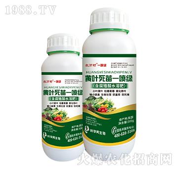 �S�~����һ���G-���˹����r��