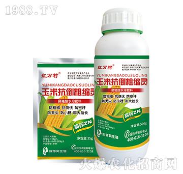 ���׿����ֿs�`-���˹����r��