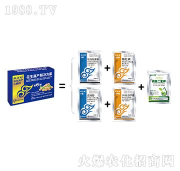 ��������ˎ-�ڶ���-���˹����r��