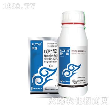 43%����-�o��-���˹����r��