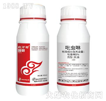 5%���x��-����-���˹����r��