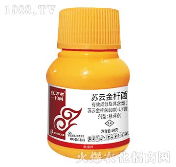 �K�ƽ�U��-һ���e-���˹����r��