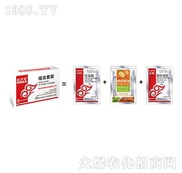 �������x�ײ�-��ʭ�^���M���ײ�-���˹����r��