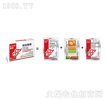 ���x�ײ�-���ֽM��-���˹����r��