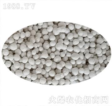 ���ʘ�Ʒ-�r�_����