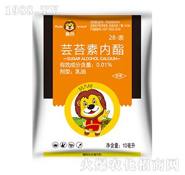 0.01%28-���|̦�؃�֬-����-��������