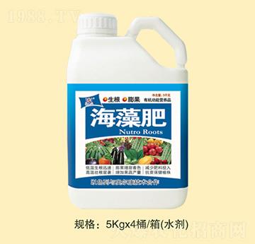 �����-�f(w��n)Ȫ�r(n��ng)��