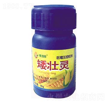 �����`-�r(n��ng)�̘�