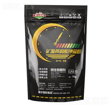 �VԴ�S����⛾���-������