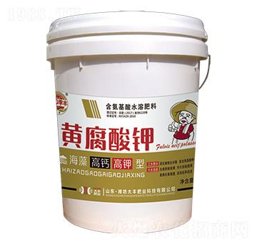 ������}������S�����-��@���S-���S�ʘI(y��)