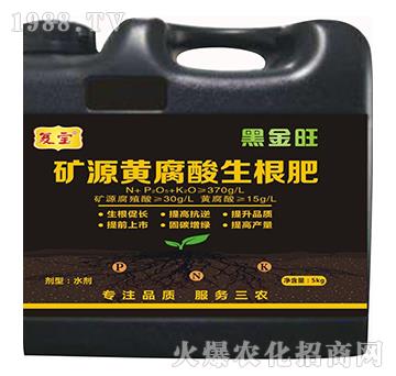 �VԴ�S����������-��(f��)������