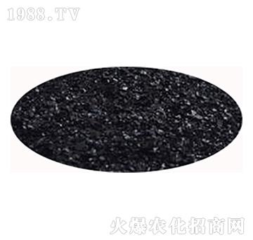 �VԴ�S�����-�͌�����