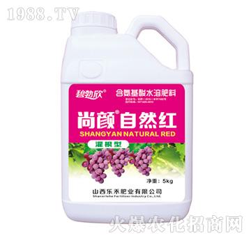 ���?zh��n)�Ȼ�t-����